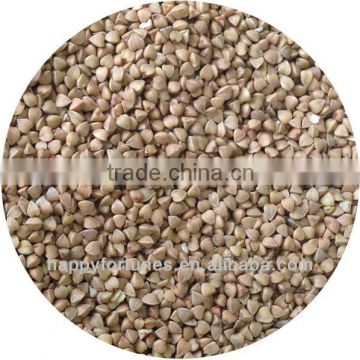 Roasted buckwheat kernels ,Kasha.Roasted buckwheat groats