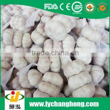Best Quality Normal White White Garlic photo-2