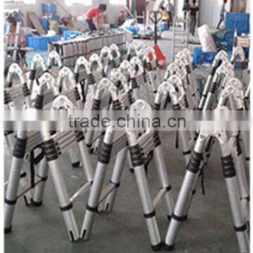High Quality Classics Ladder Hot Selling 5m Telescopic Ladder