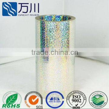 Pet spangle sequin film 2014