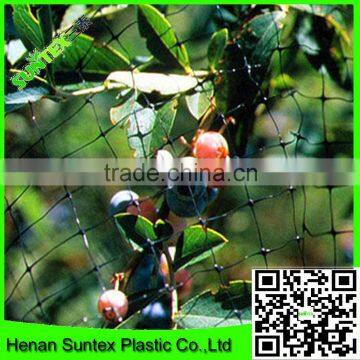 Supply 2016 100% virgin pe UV resistant extruded black oriented netting fruit tree /strawberry anti bird nets 100 % Recyclable