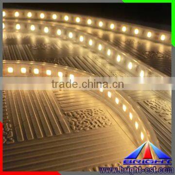 China Manufacturer 12V/24V Epistar 300leds/m SMD 5050 Waterproof IP68 Flexible LED Strip Light