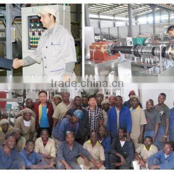 Automatic Slanty Chip Making Machine photo-5