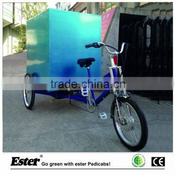 Electric Cargo Delivery Trike