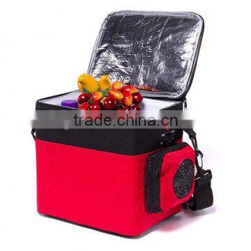 Dual-purpose electric cooler and warmer portable car Refrigerator