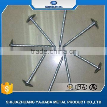 Umbrella Roofing Nails Hardness