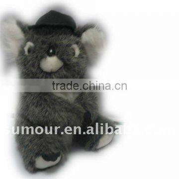 Koala with hat