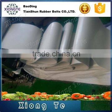 Nontoxic Rubber Wear Resistant Fruit Rubber Conveyor Belt photo-3