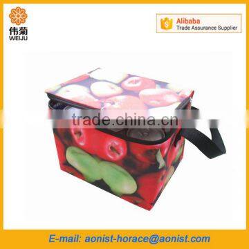 Cheap Non Woven Insulated Lunch Cooler Bag photo-5