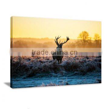 Elk and Deer Inkjet Canvas Printing Canvas Painting Livingroom decoration DWYS73