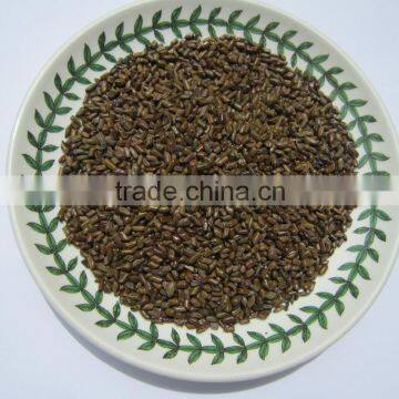 Cassia Tea/Cassia Tora Seed/Semen Cassiae Seeds/Cassia Tora Seeds From India - CTS photo-4