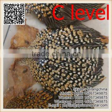 Party Headdress Clothes Decoration Jungle Cock Quality Choice photo-4