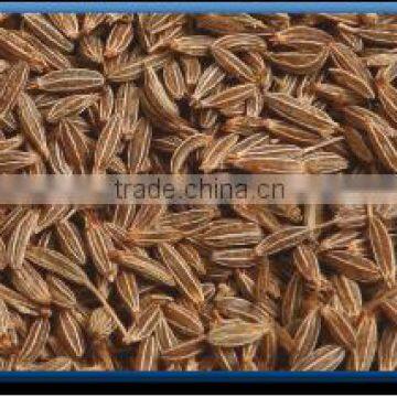 Cumin Seed