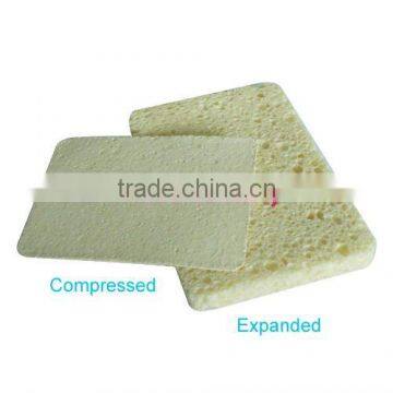 compressed cellulose sponge