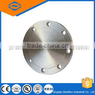 ss flange blind