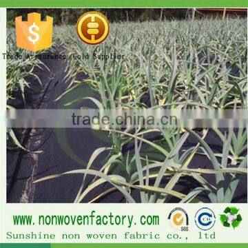 100% Fabric Non-woven Spunbond Dot Style Garden Weed Control Fabric photo-2