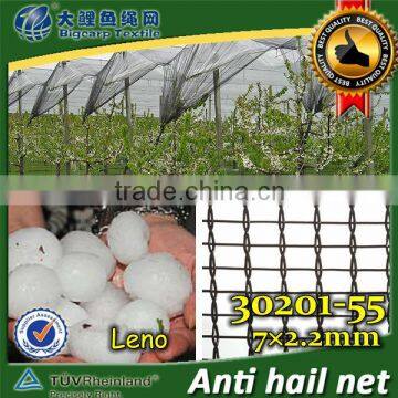 Leno Anti Hail Net with Shade Value: 12% , 30201-55 mesh size 7x2.2mm