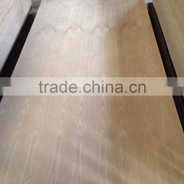 3.6mm Natural Ash Plywood