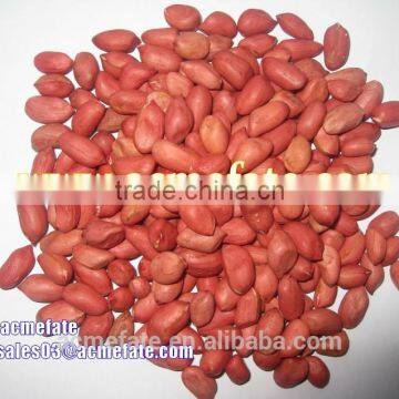 new production big size blanched peanut kernels(ground nut seeds)