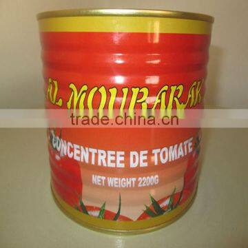 400g Canned Tomato Paste Tomato Ketchup photo-2