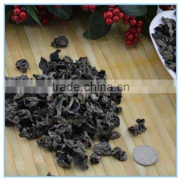 Chinese Black Fungus Wood Ear Mushroom