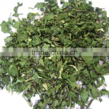 New products 2015 innovative product dehydrated coriander