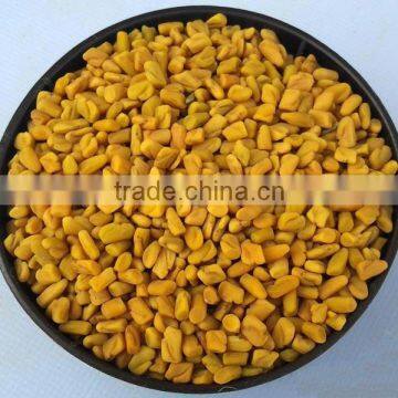 Indian Fenugreek