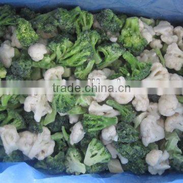 supply frozen winter mix vegetable