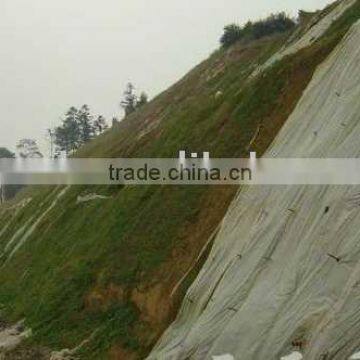 Nonwoven For Lawn Grass