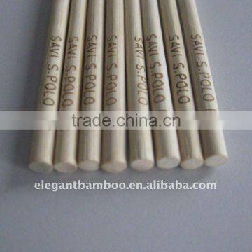 Laser Scripted Bamboo BBQ Sticks