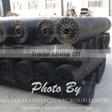 425gsm HPE Plastic Wire Mesh photo-6
