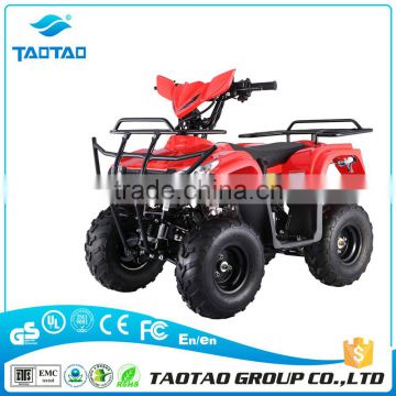 125cc Road Legal Kid Quad Bikes for sale with ATV engine ATA125-M