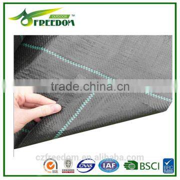 Weed Control Fabric China Manufacturer of 80g-200g per Square Meter photo-6