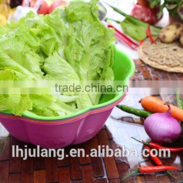 New Design Salad bowl plastic / plastic salad bowl
