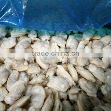 FROZEN YELLOW CLAM MEAT BABY CLAM MEAT IN BULK PACK photo-2