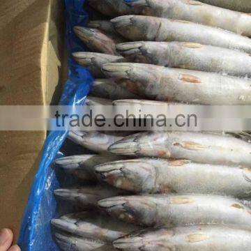 Landfrozen Mackerel 150-200g photo-4