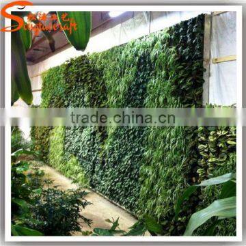 Wholesale Indoor Artificial Grass Wall Vertical Wall Garden photo-3