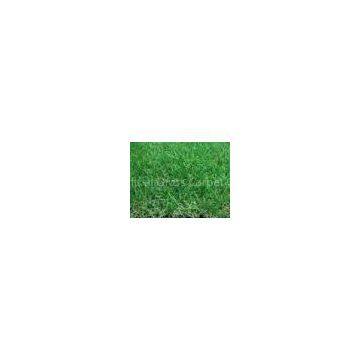 11600Dtex Eco-friendly China Artificial Grass, F3516DW1 Synthetic Grass 35mm, Gauge 3/8