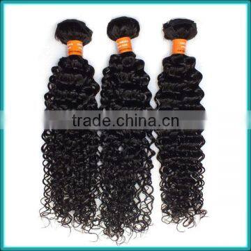 Most Popular Wholesale Price Virgin Indian Remy Weave Human Hair Indian Kinky Curly Hair Extensions