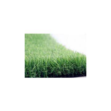 Landscape Grass