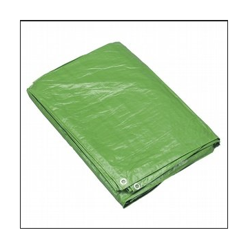 White/green Green Tarp