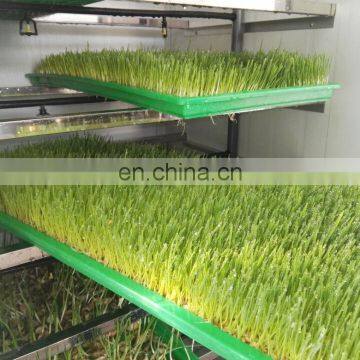Машина для производства корма для комерческих кроликов / машина для разведения ячменя в гидропонном культивировании продается. photo-6