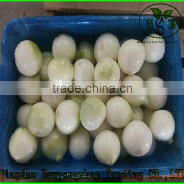 100% Organic Apple/Fuji Apple/Fresh Apples photo-5