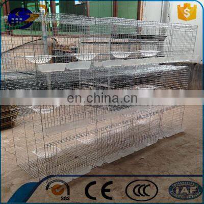 High Quality racing pigeon breeding cage