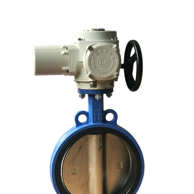 Wafer butterfly valve