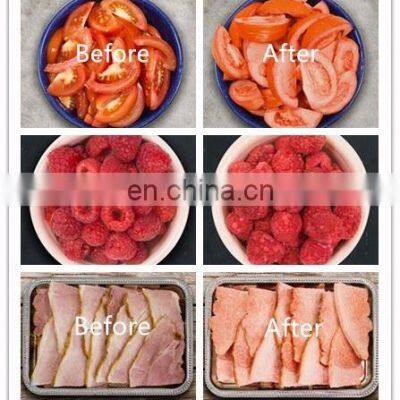 Home Mini Fruit Vacuum Freeze Drying Machine photo-3