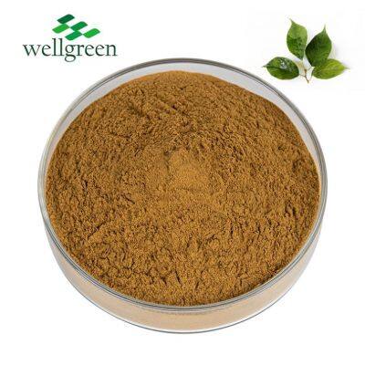 Eucommia Bark Extract Powder Ulmoides Soluble Acid Pure Acid10% Leaf Eucmmia Chlorogenic Acids