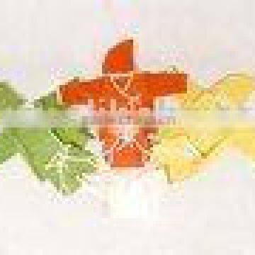 Organic Baby Garments