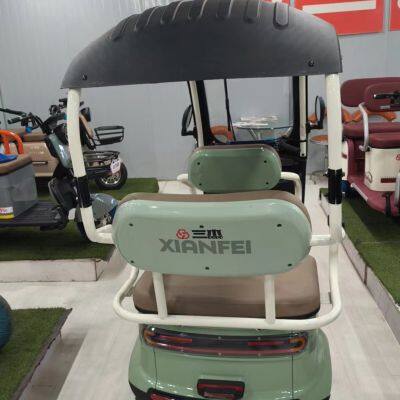 800W 1000W  Three Wheels Leisure Electric Tricycle  Rickshaw EV Mobility Scooter Motor with Cabin Tuk Tuk