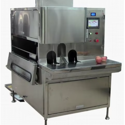 Coconut Peeling Machine1